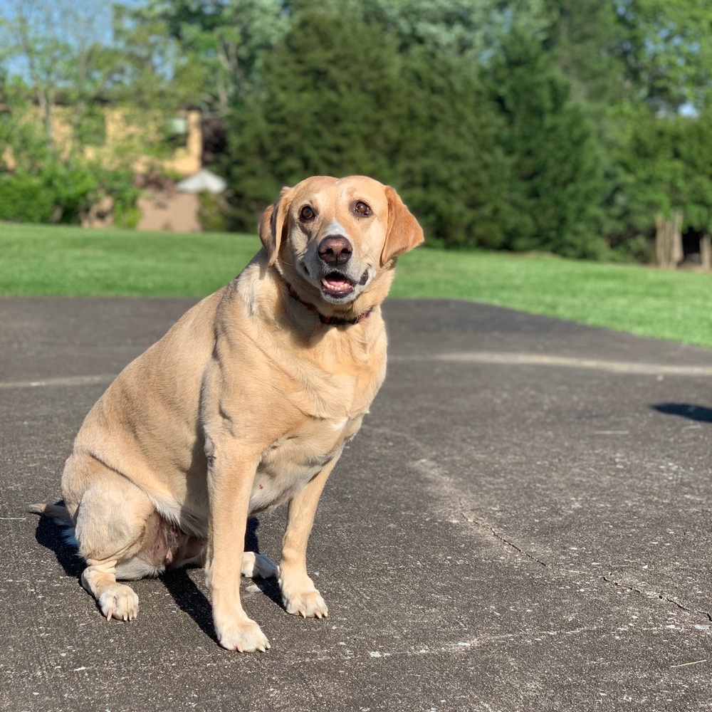 Meet your Posher, Zeke